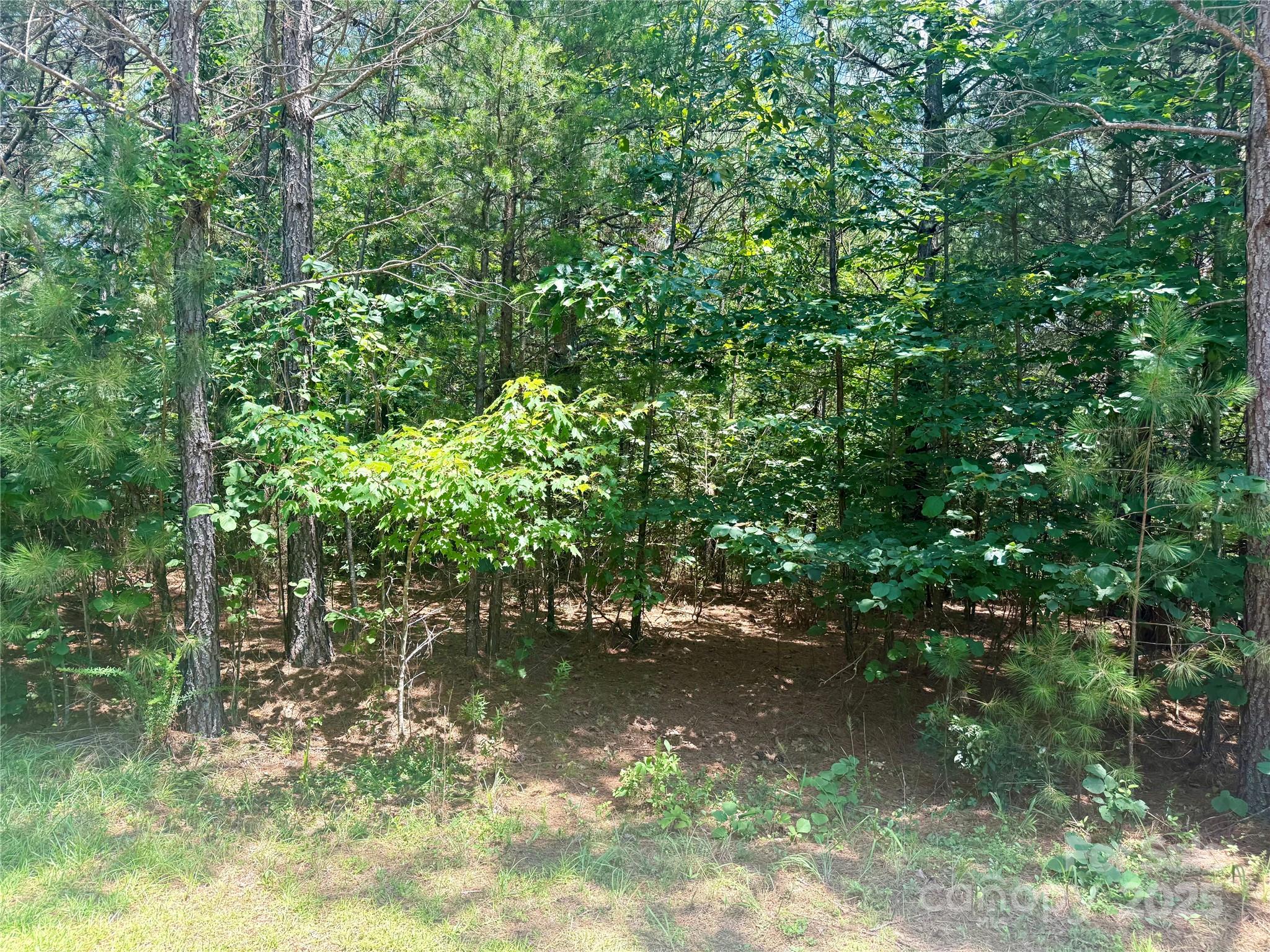 Lot 262 Cross Creek Drive