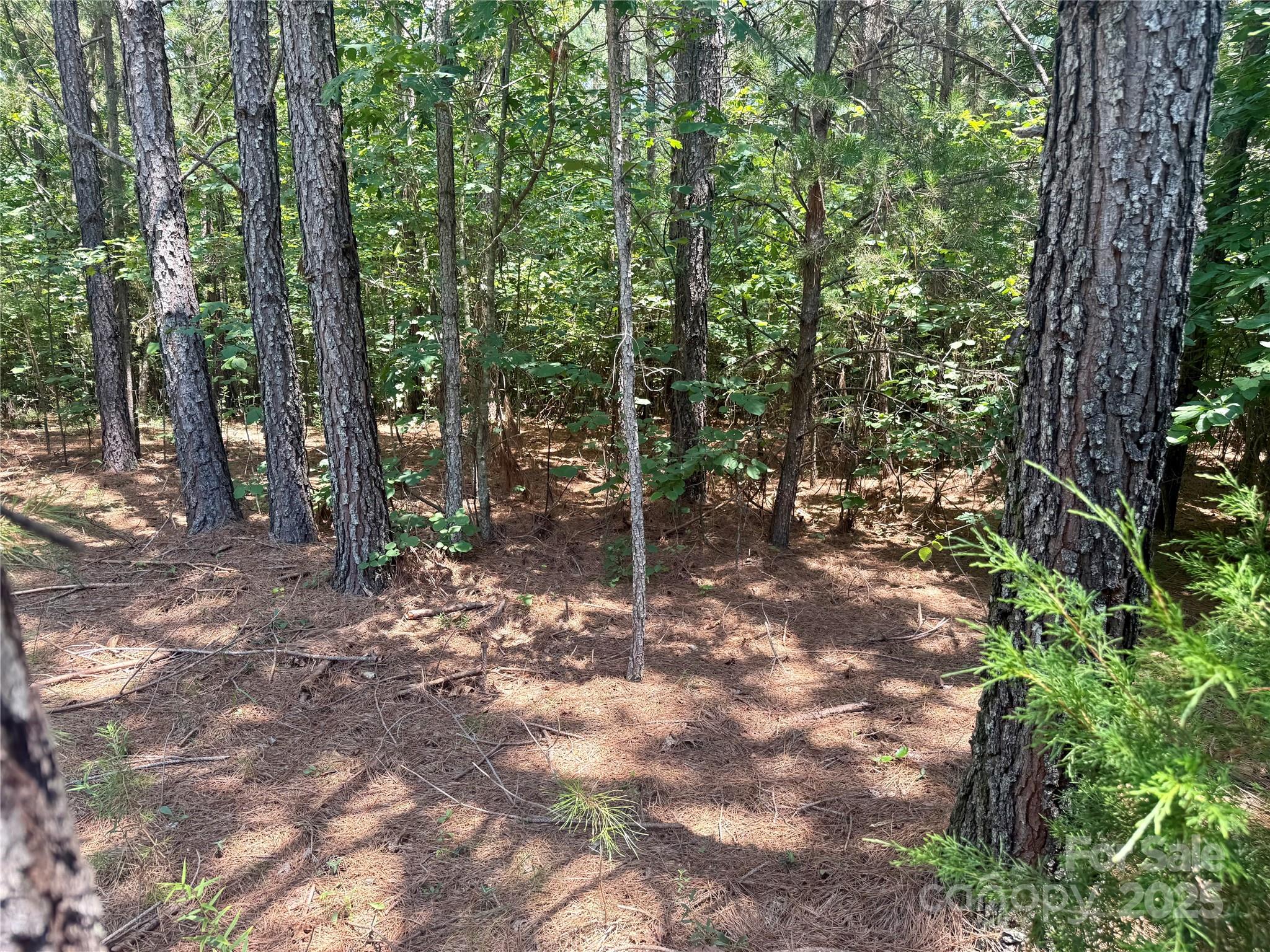 Lot 262 Cross Creek Drive