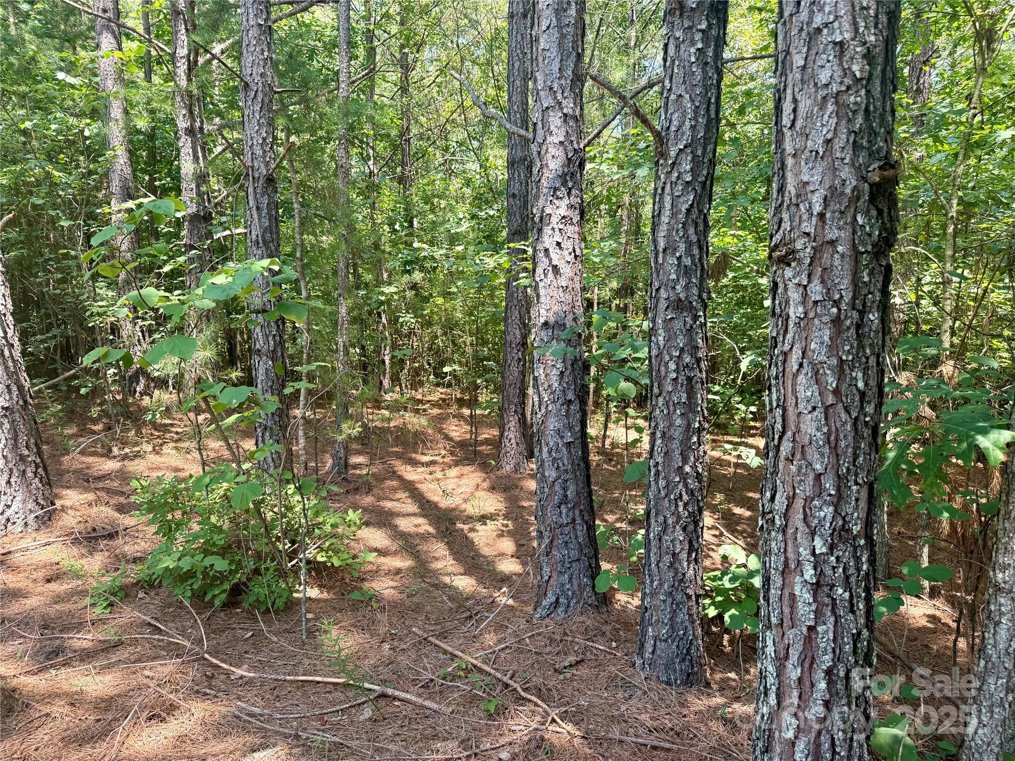 Lot 262 Cross Creek Drive