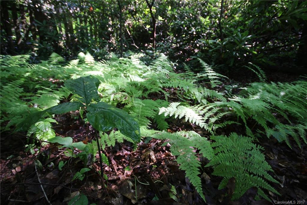 Knob Creek - Residential