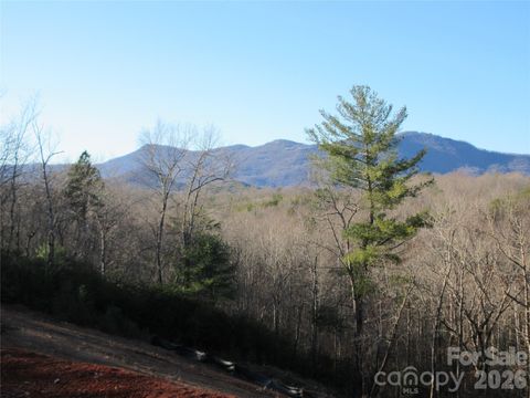 0 Levi Road Columbus NC 28722