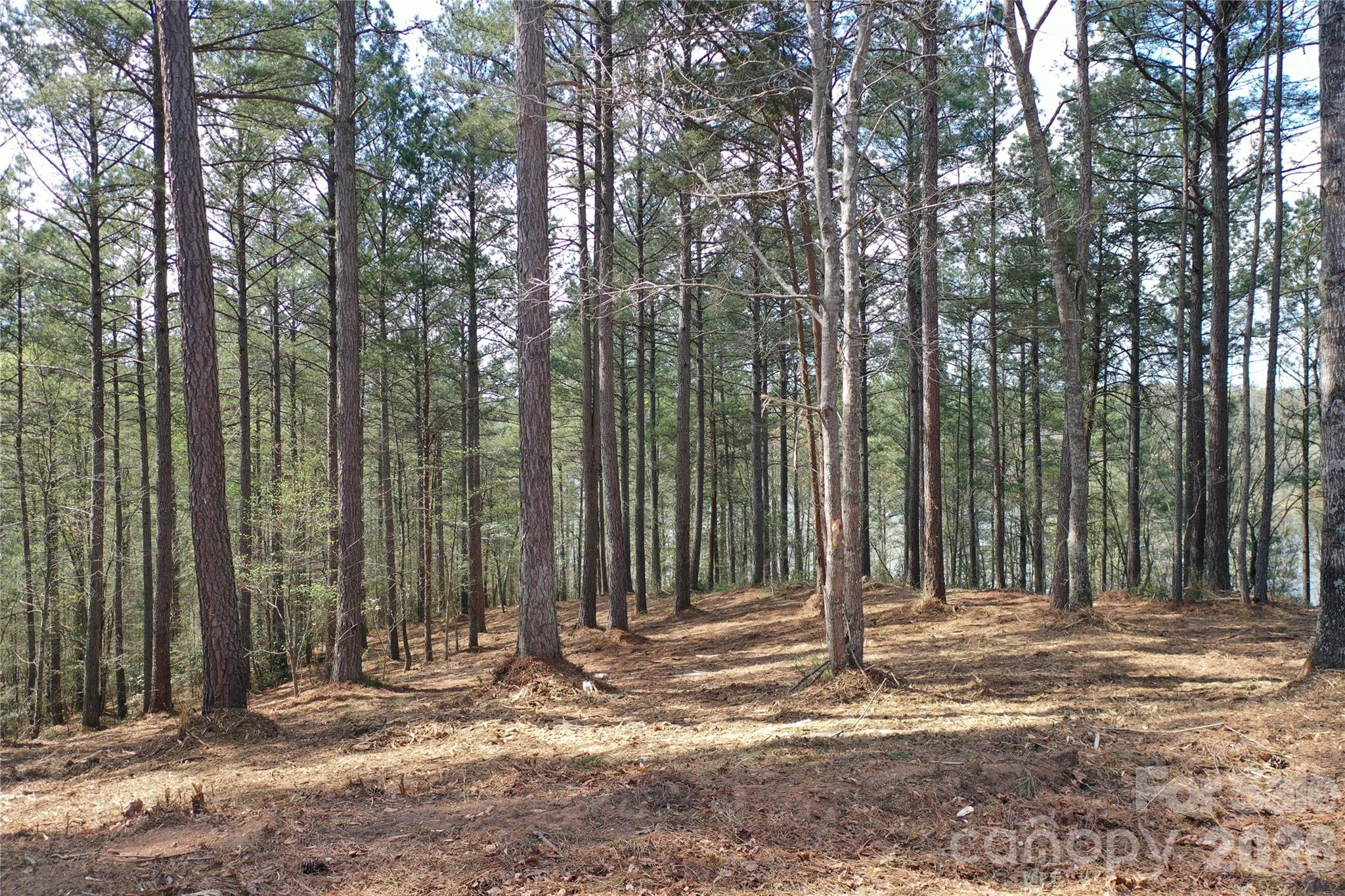 2299 Lighthouse Lane 76