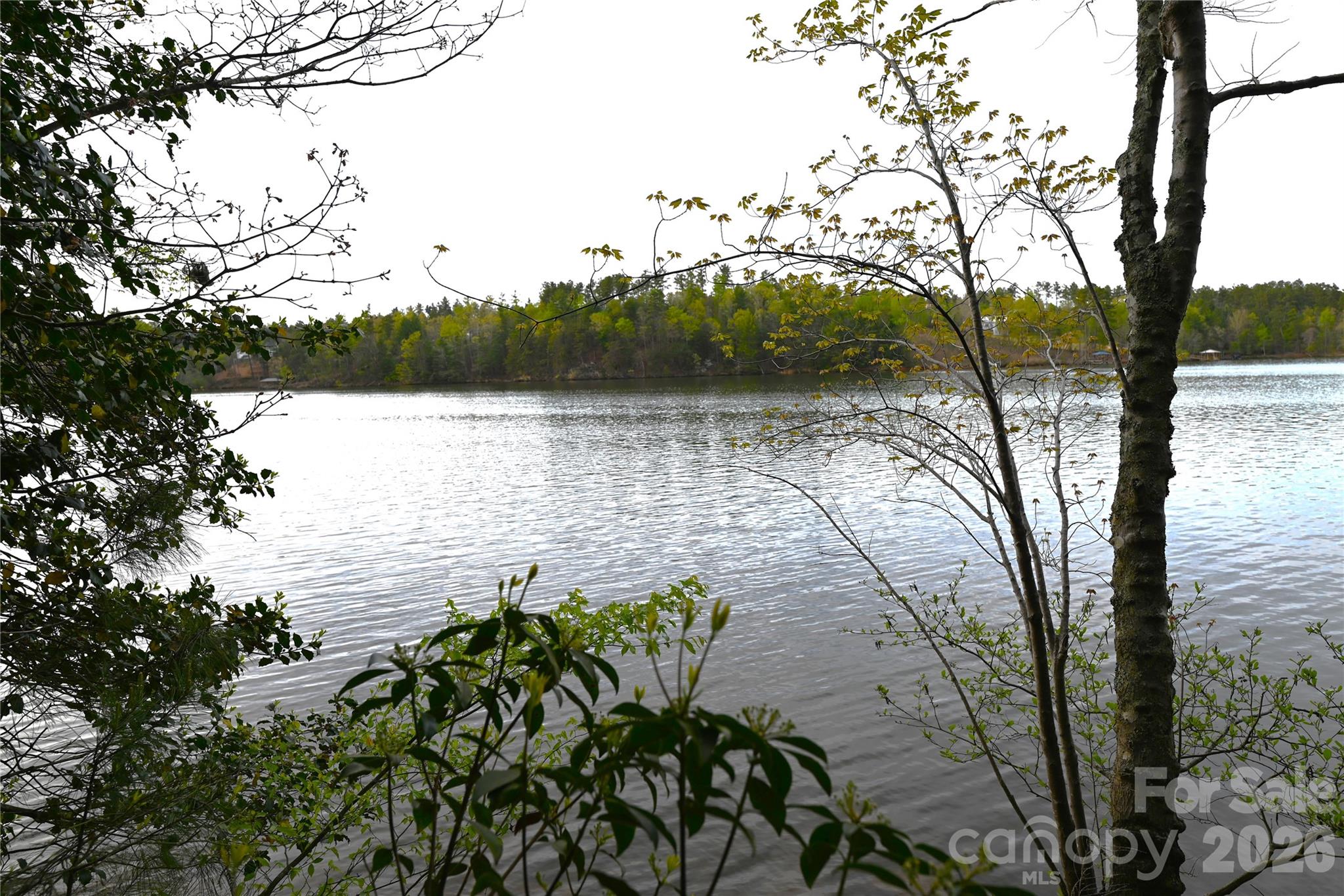 Paradise Harbor - Land