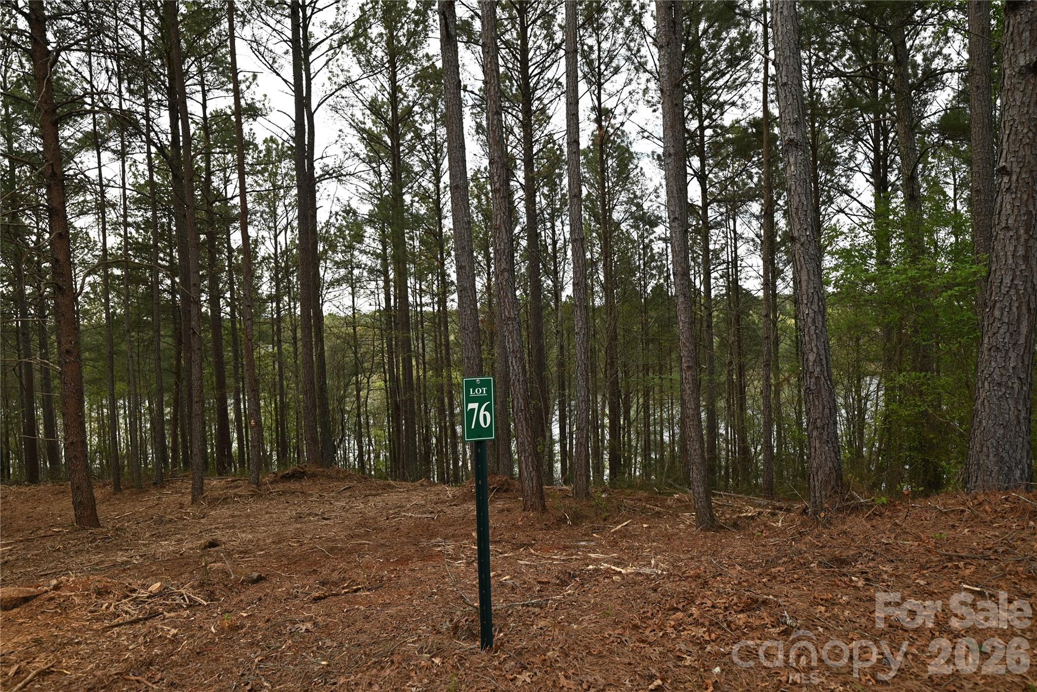 Paradise Harbor - Land