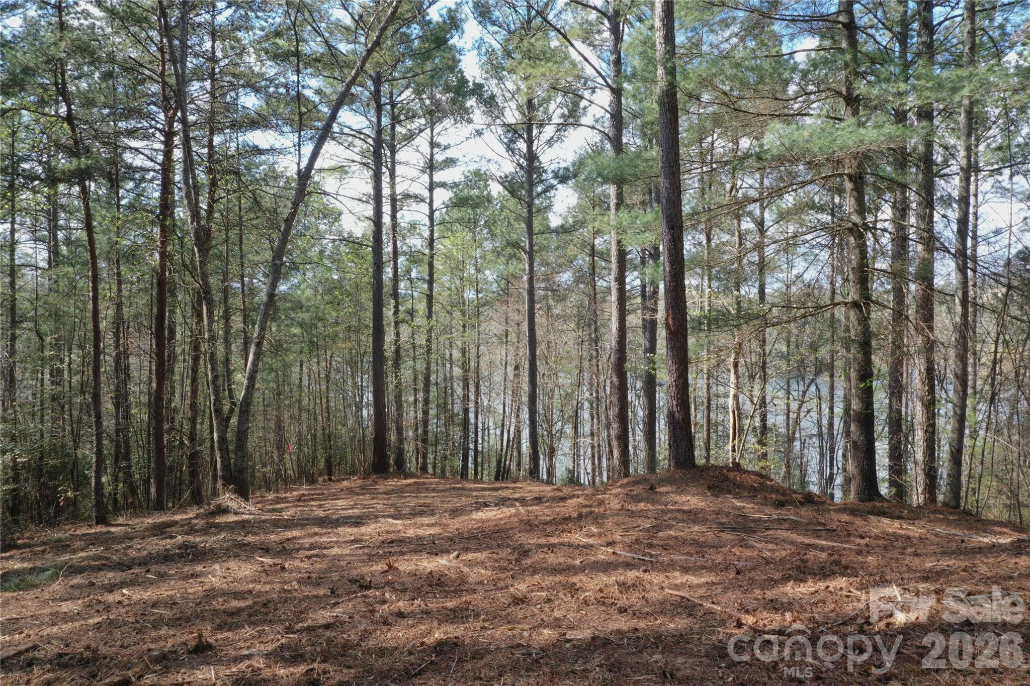 2299 Lighthouse Lane 76