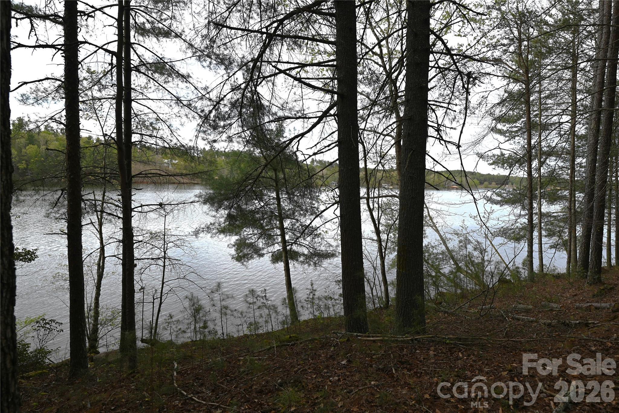 2299 Lighthouse Lane 76