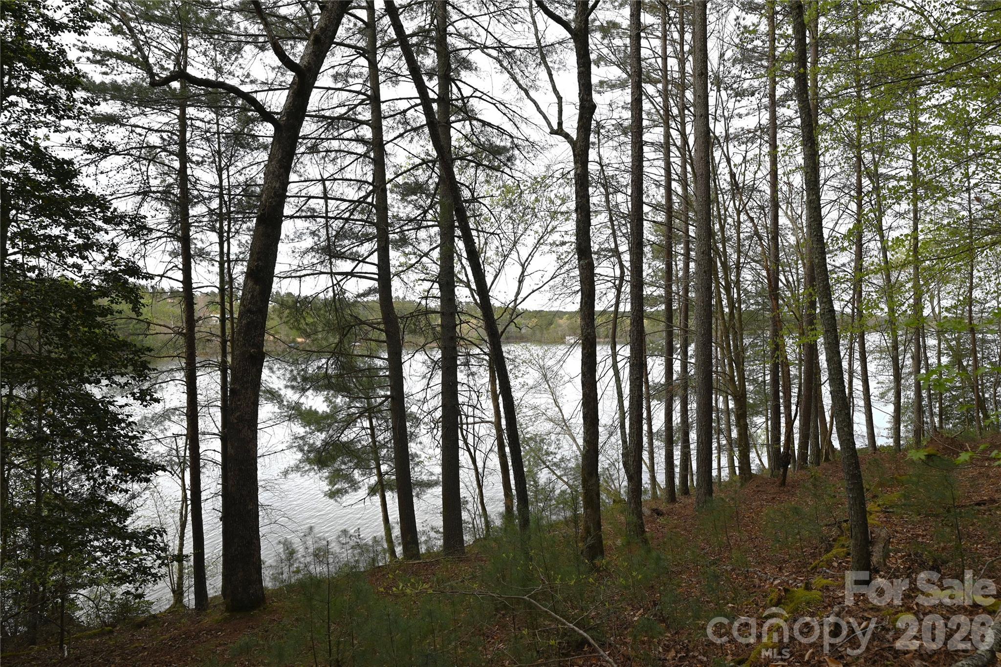 2299 Lighthouse Lane 76