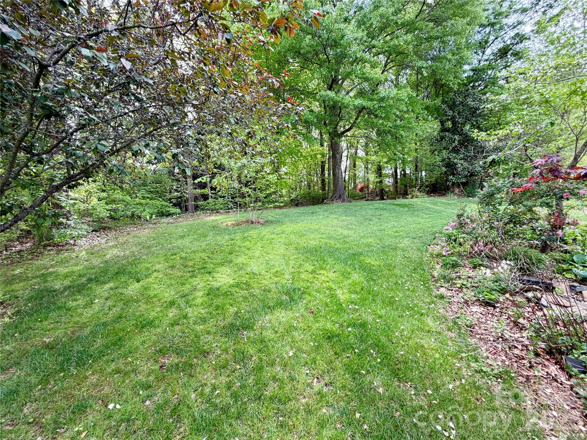 Carriage Downs - Residential