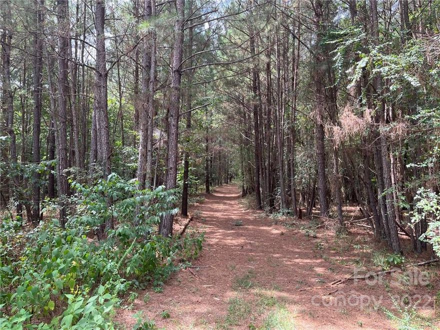 Over ten acres of unrestricted, wooded, flat land. Part of an old hunting camp. A private road accesses this property with a 45' ROW serving this tract and others. Also has a common 20' ROW with Lot 6. See MLS 3901975 for additional 10 acres. Five minutes to Bostic, 10 minutes to Forest City
