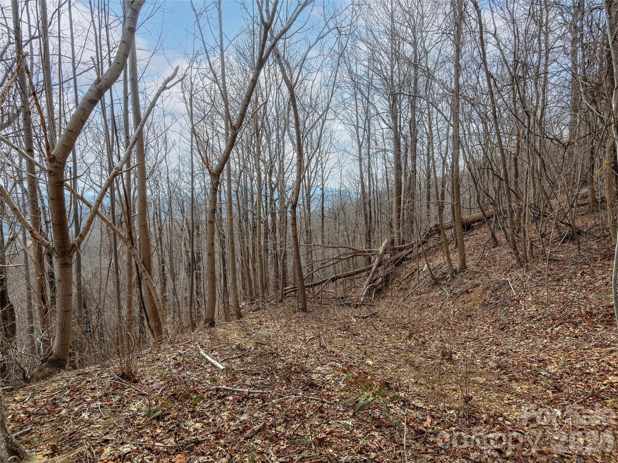 White Oak Mountain - Land