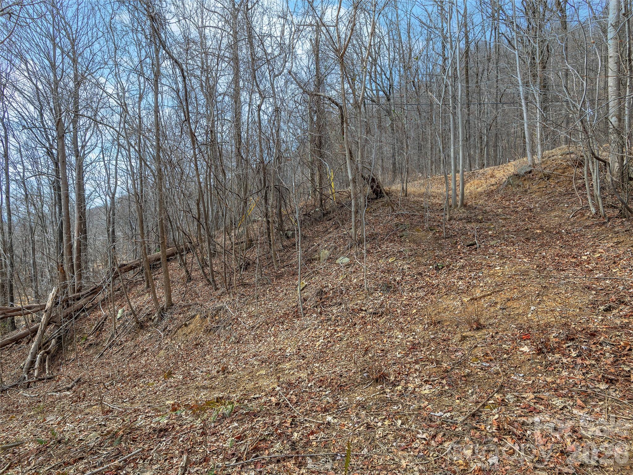 White Oak Mountain - Land