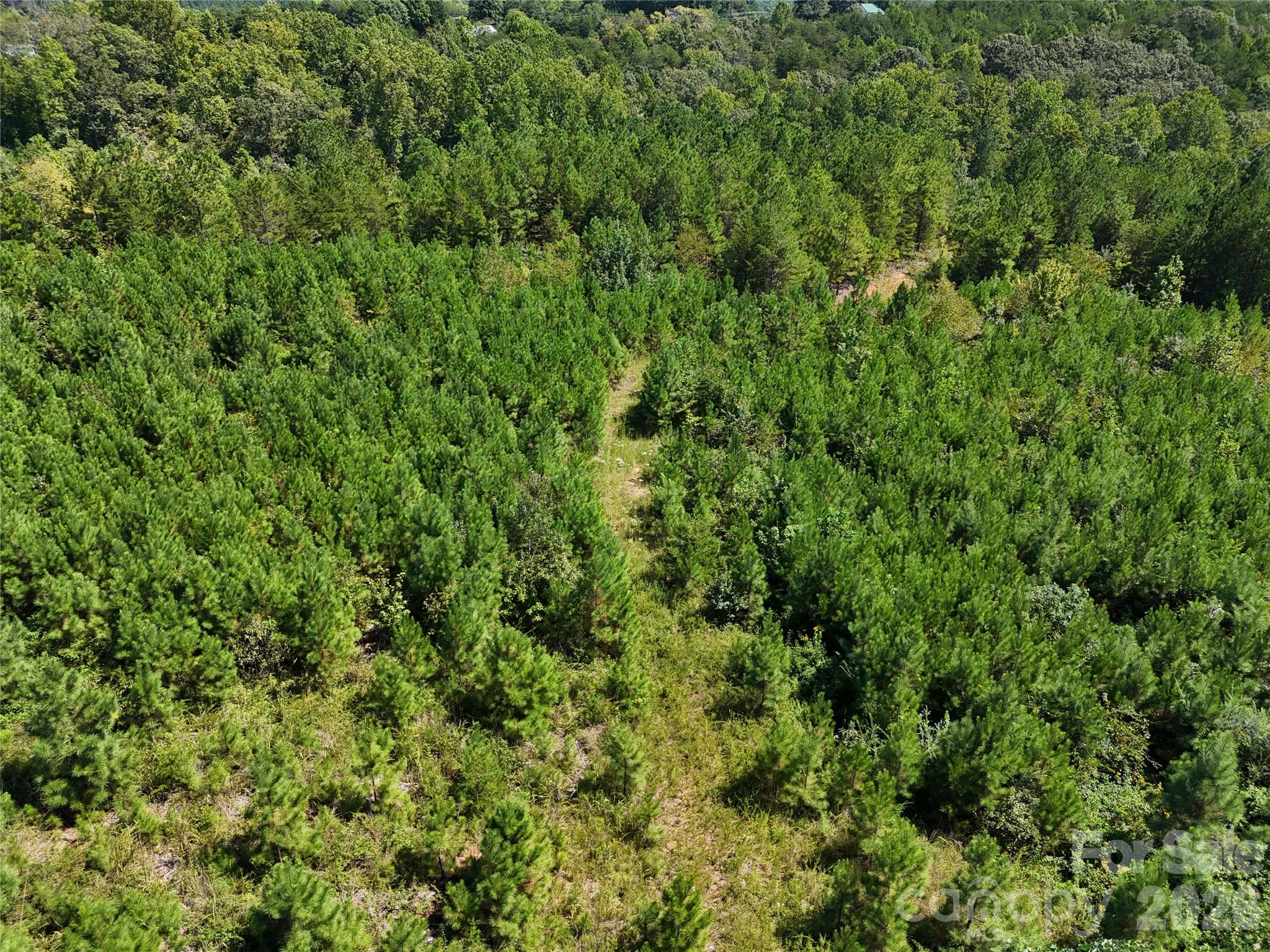 2125 Whiteside Road