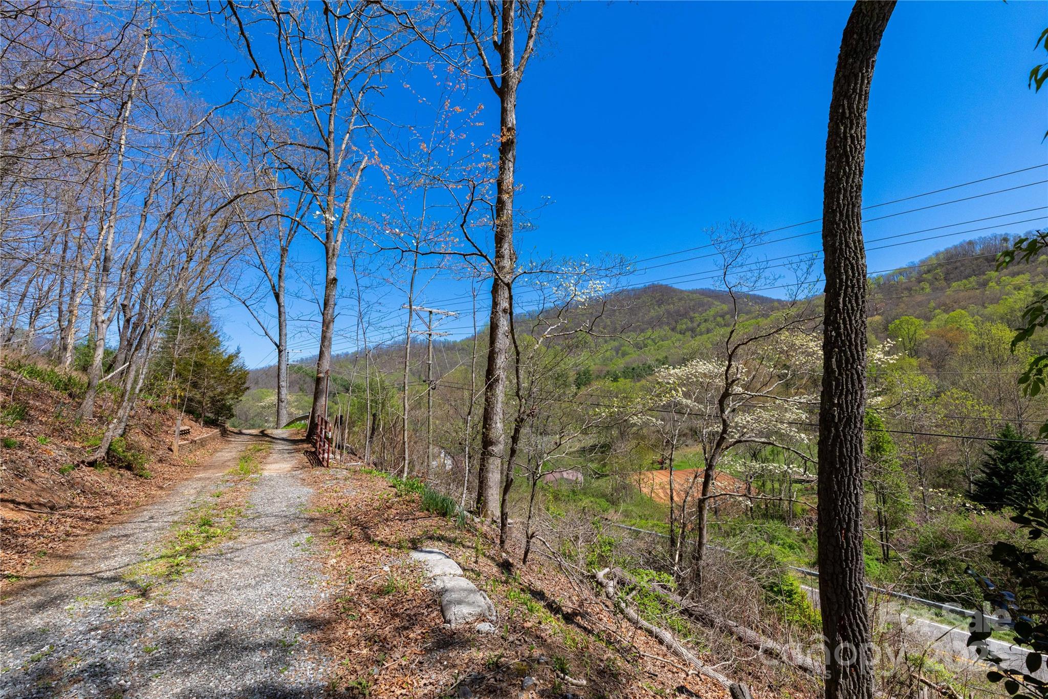 1591 Cope Creek Road
