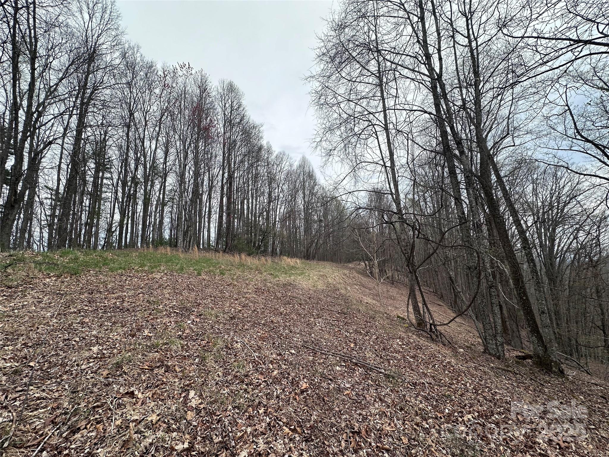 0000 Anderson Cove Road