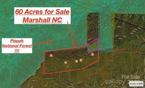 0000 Anderson Cove Road Marshall NC 28753