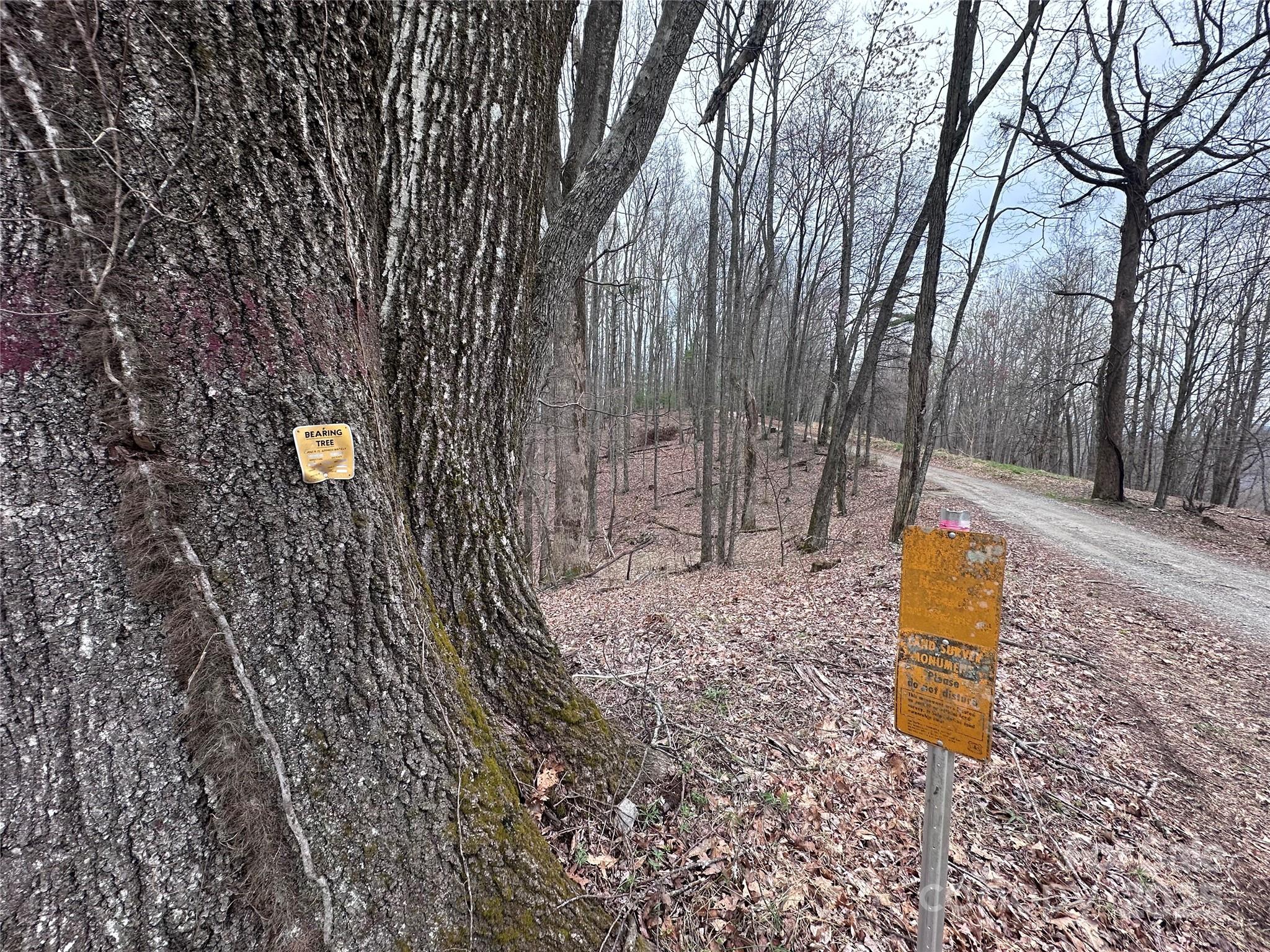 0000 Anderson Cove Road