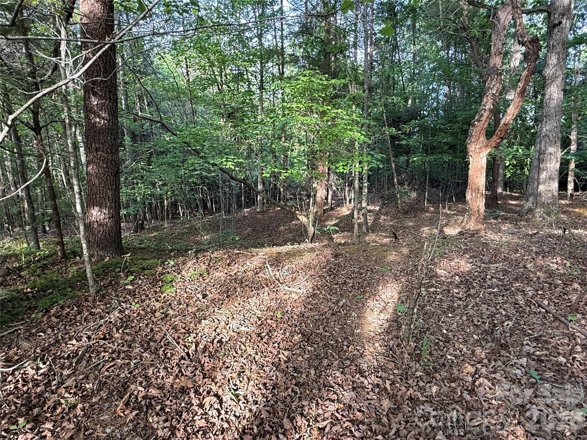 0 Shenandoah Drive 3B