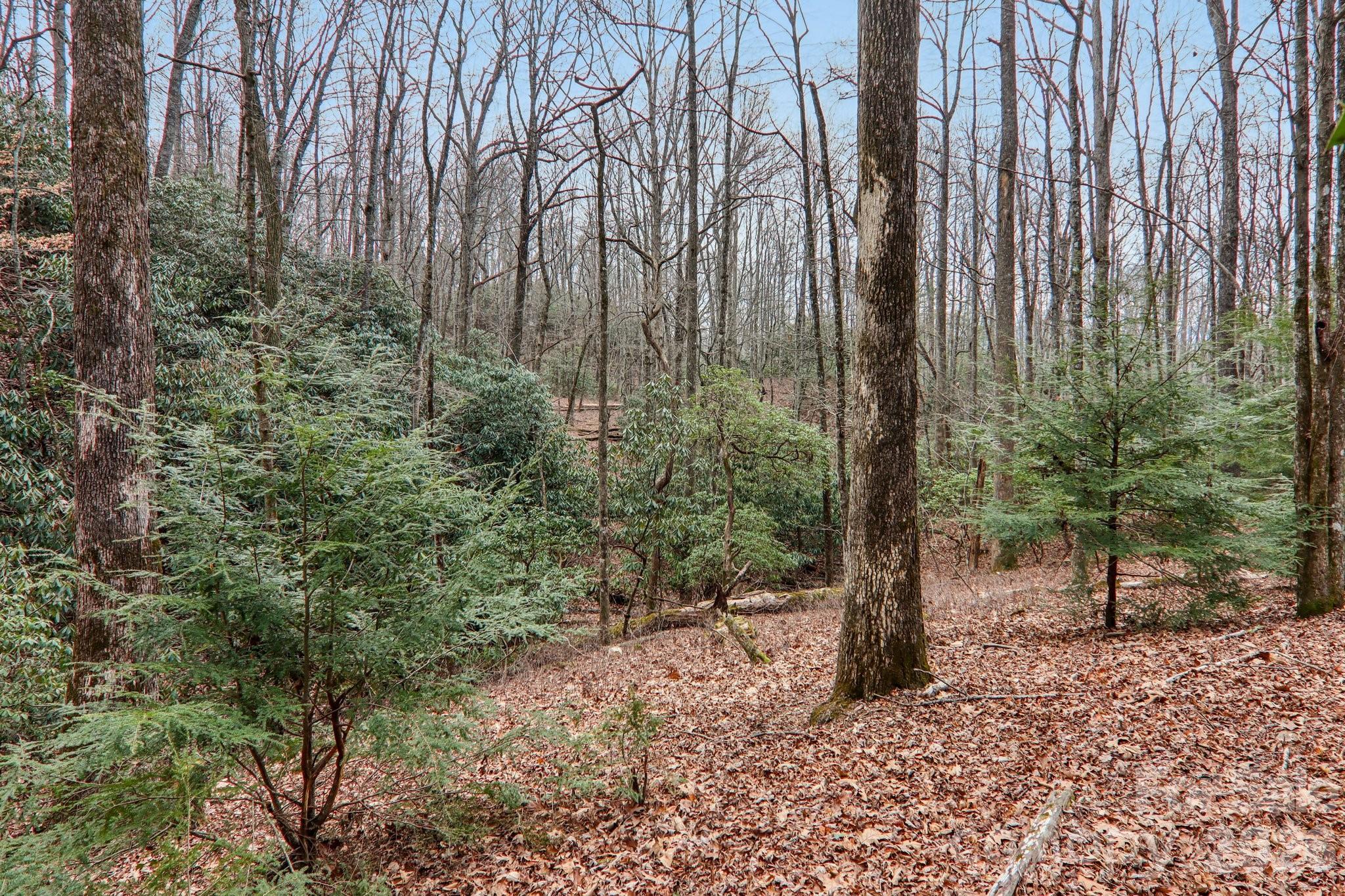 Connestee Falls - Residential