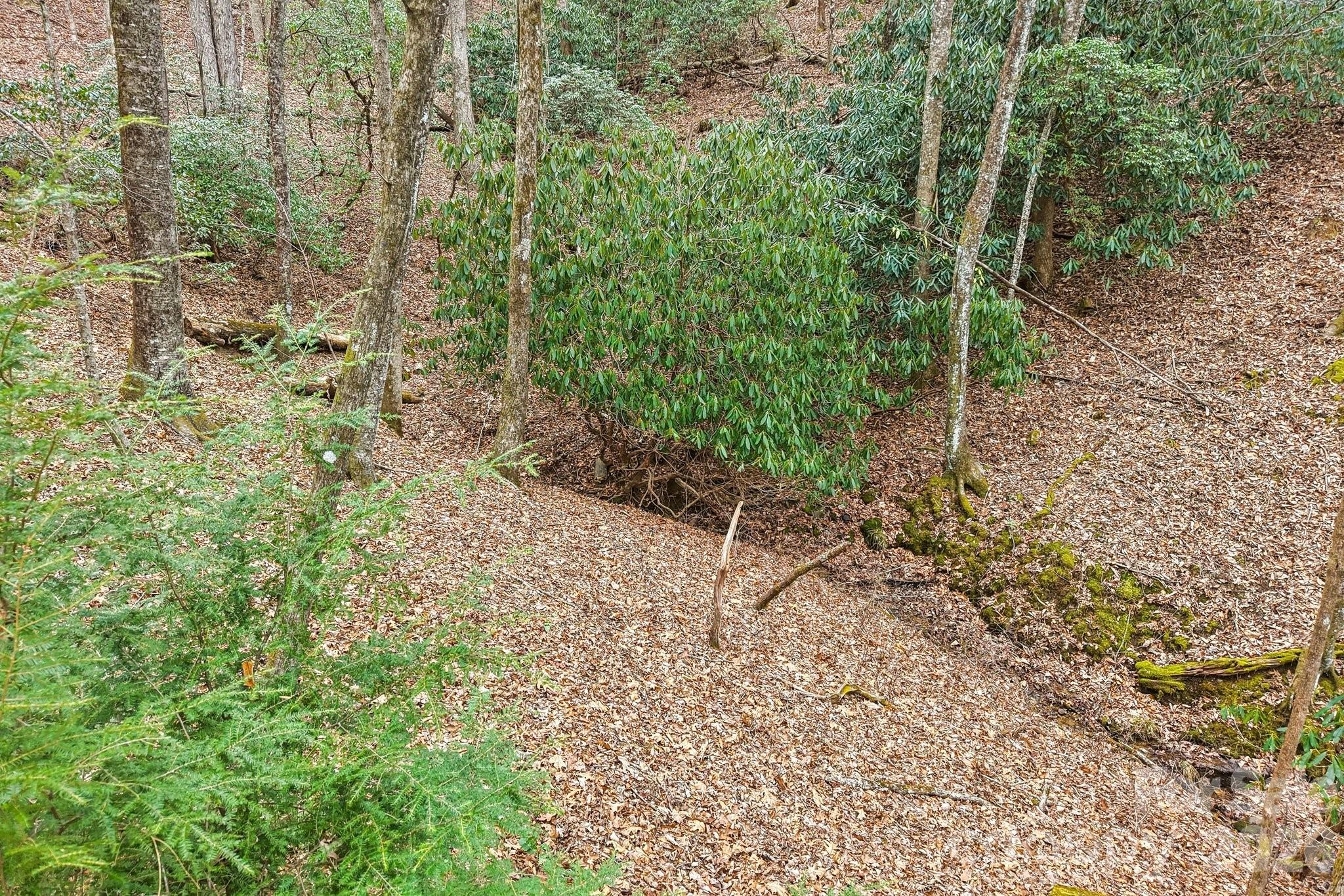 Connestee Falls - Residential