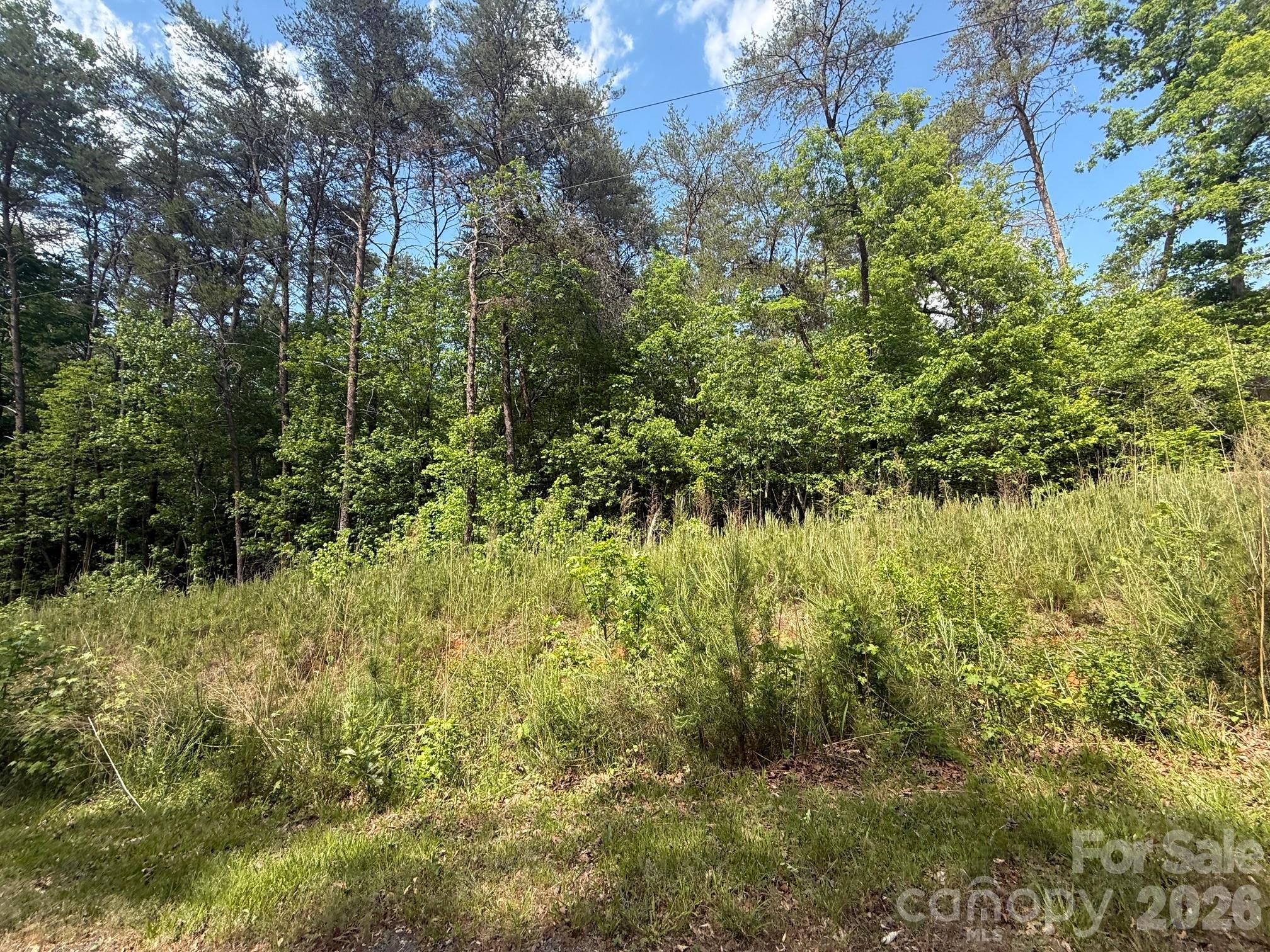 Carolina Forest - Land