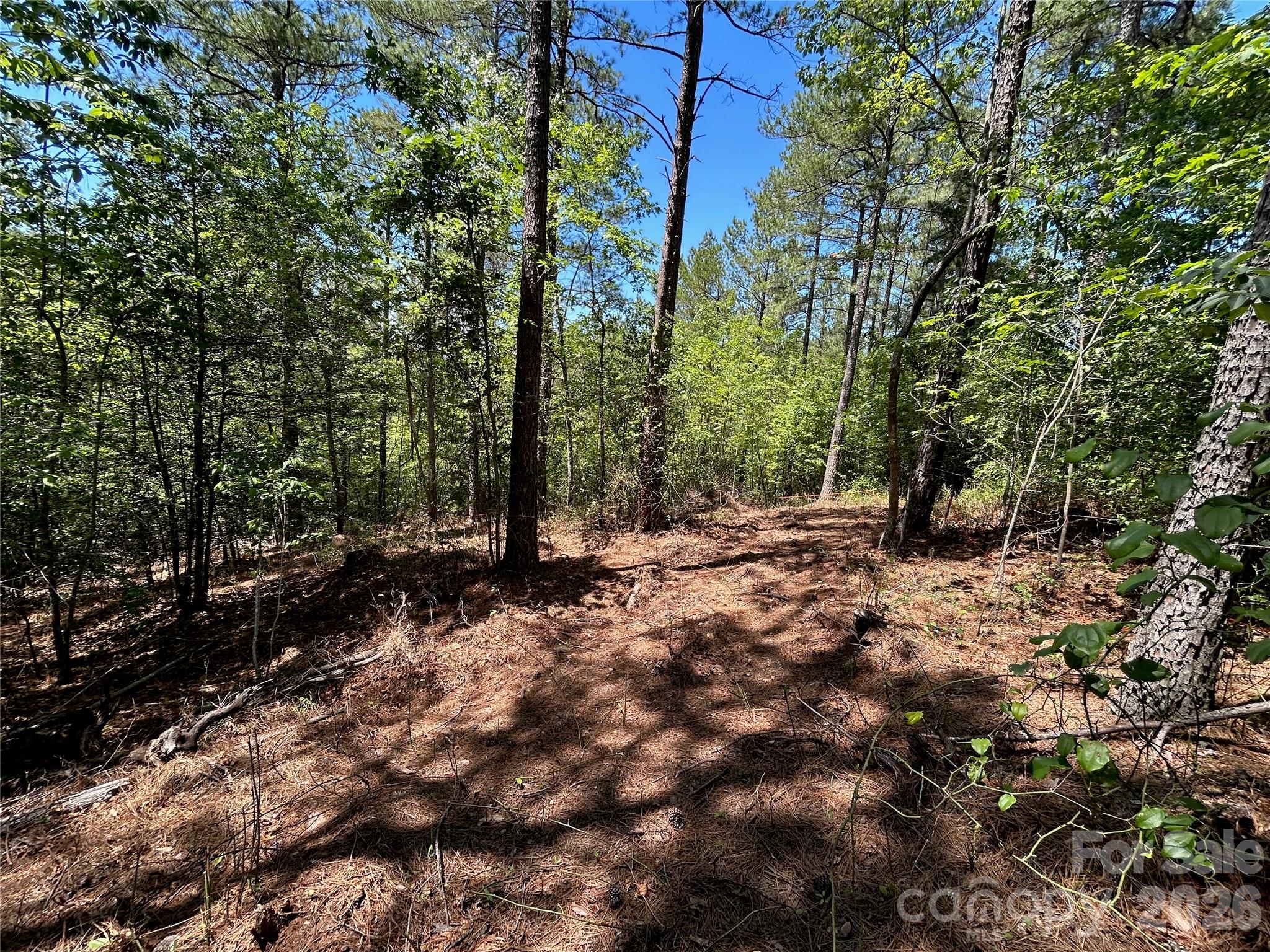 1175 HIDDEN COVE Lane