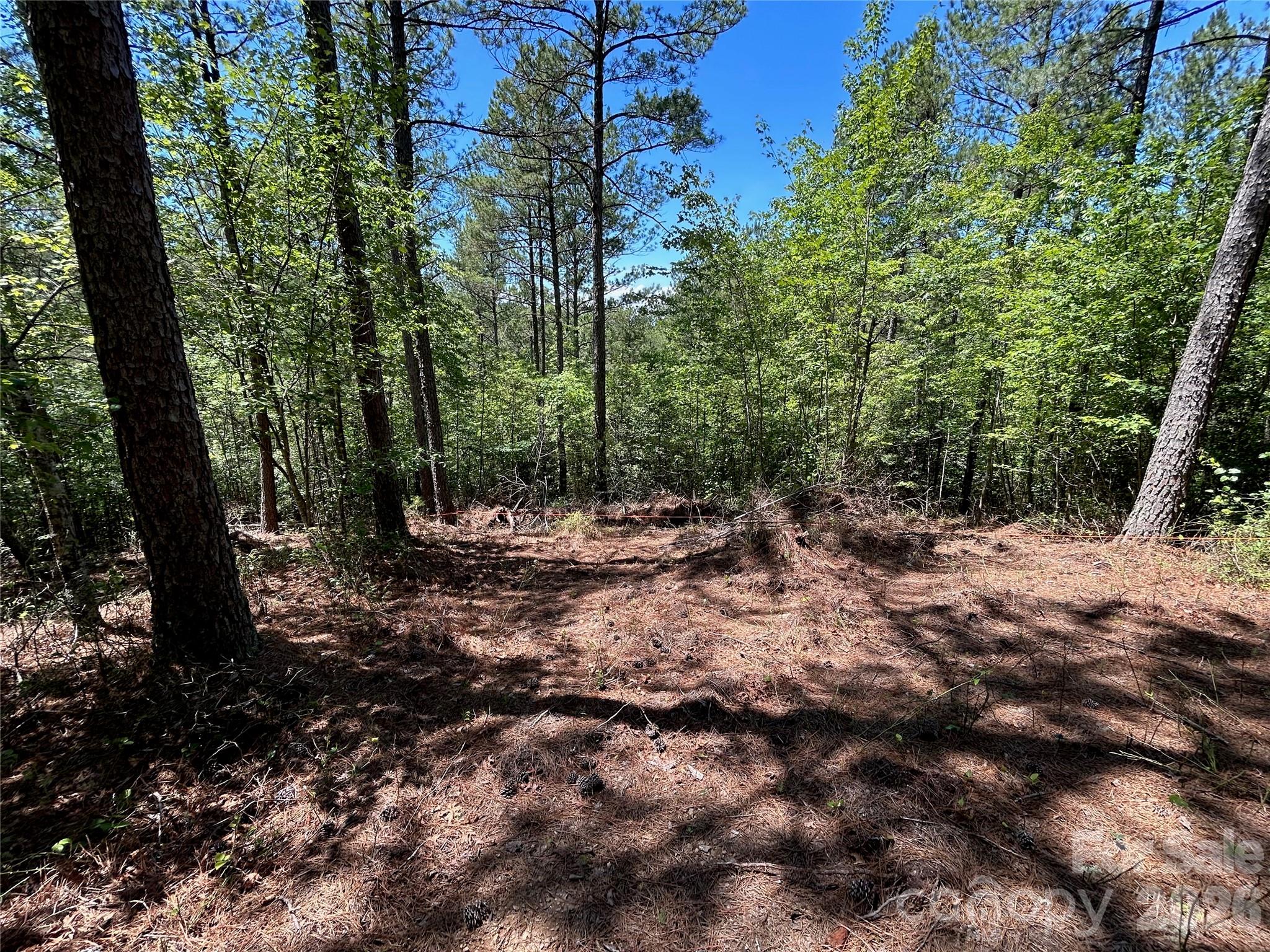 1175 HIDDEN COVE Lane