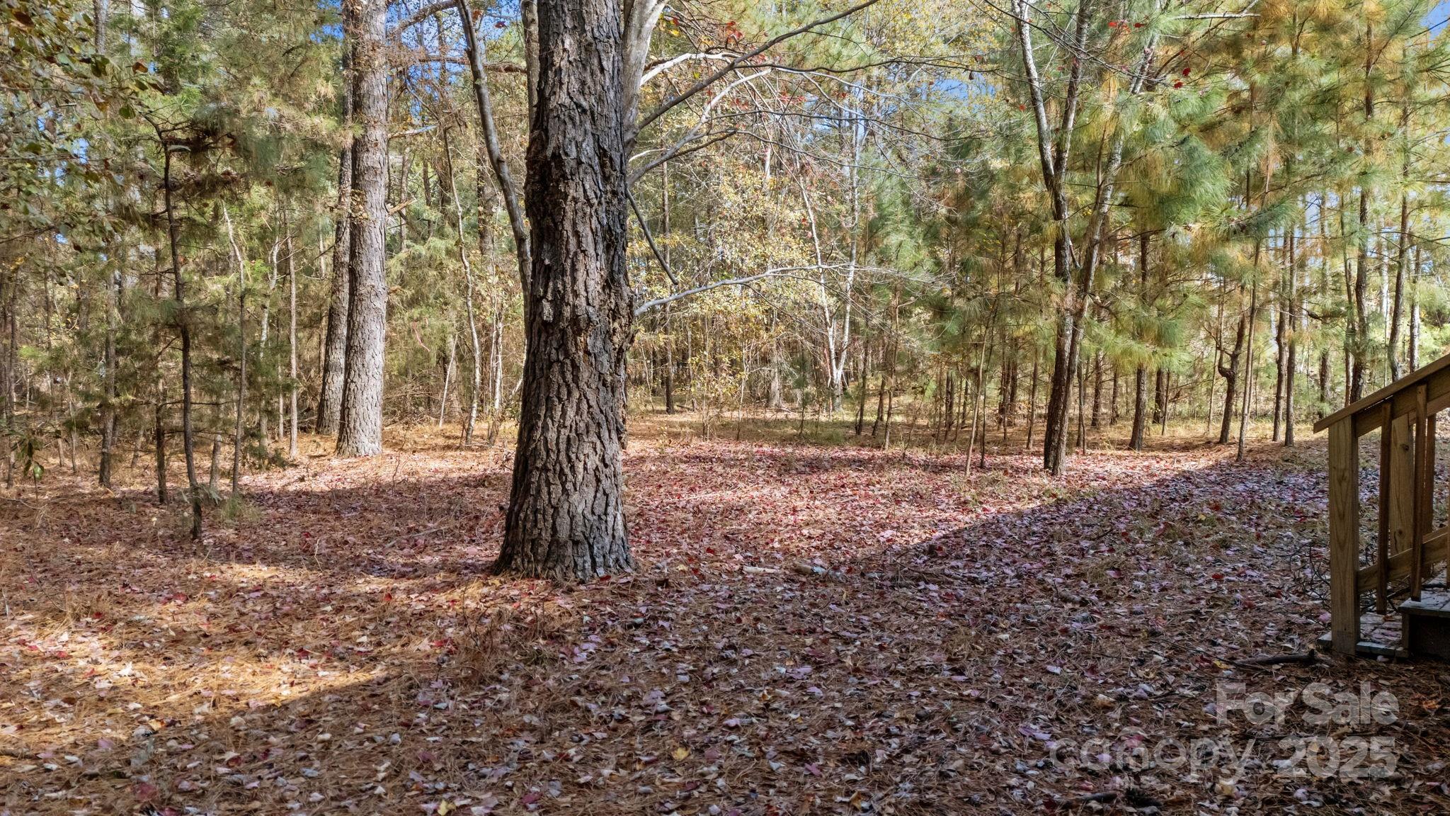 Sandy Ridge - Residential