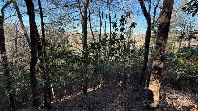 Riverbend at Lake Lure - Land