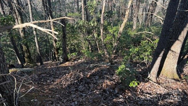 Riverbend at Lake Lure - Land