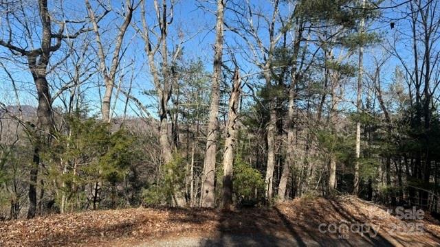 Riverbend at Lake Lure - Land