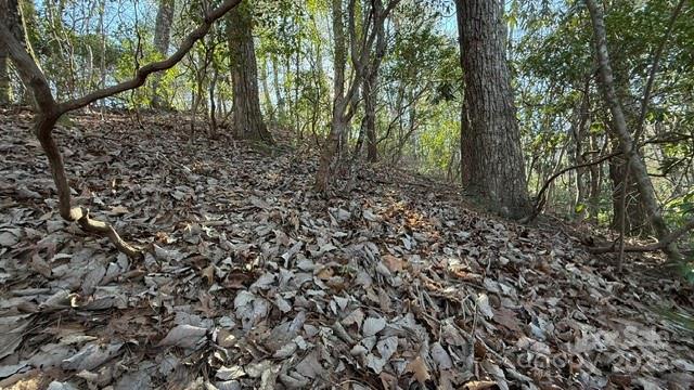 Riverbend at Lake Lure - Land