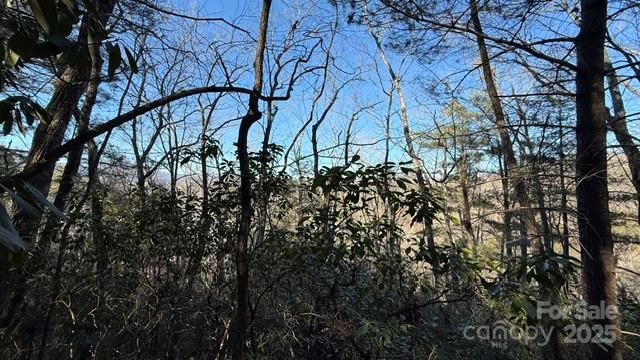 Riverbend at Lake Lure - Land