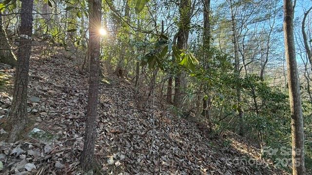 Riverbend at Lake Lure - Land