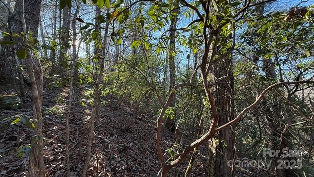 Riverbend at Lake Lure - Land
