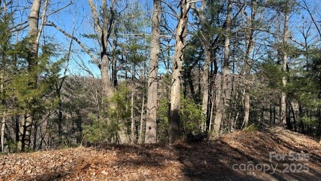 Riverbend at Lake Lure - Land