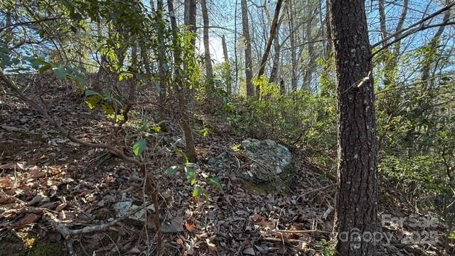 Riverbend at Lake Lure - Land