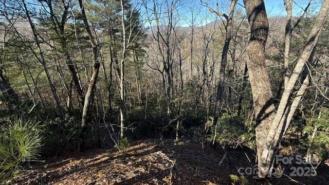 Riverbend at Lake Lure - Land