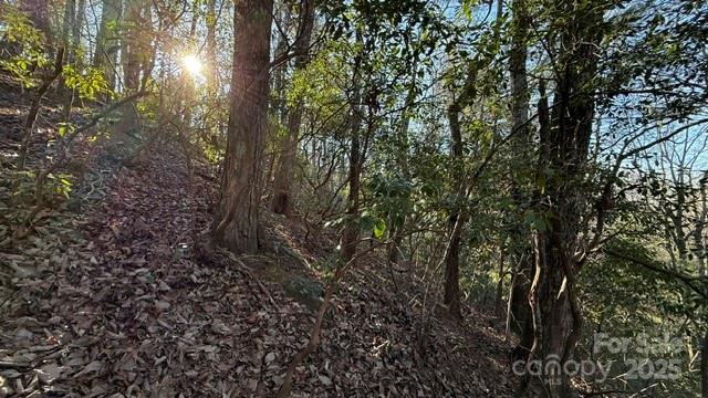 Riverbend at Lake Lure - Land