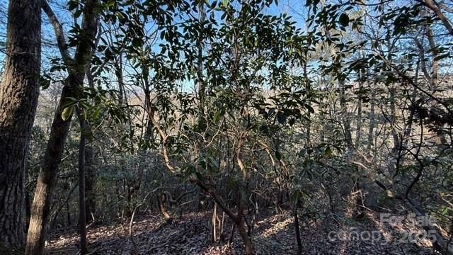 Riverbend at Lake Lure - Land