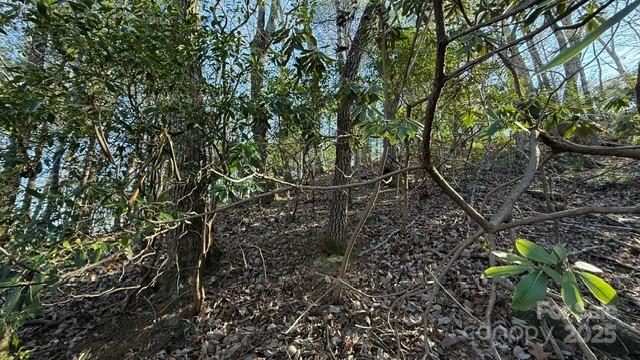 Riverbend at Lake Lure - Land