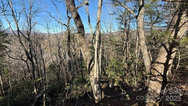 Riverbend at Lake Lure - Land