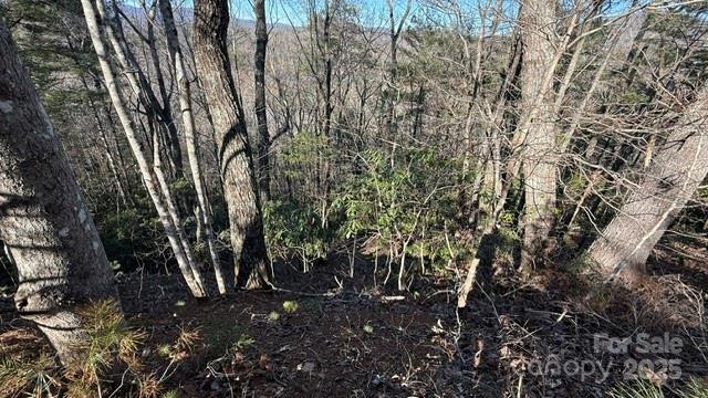 Riverbend at Lake Lure - Land