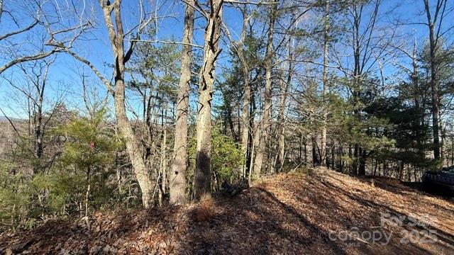 Riverbend at Lake Lure - Land