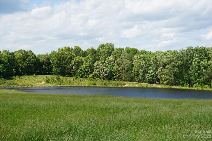 Beautiful private 32.88+/- acres with a large 3+ acre pond.  The build site overlooks the pond and 30 acres of open pasture land. This beautiful tract of land is in a great location with easy access to dining, entertainment amenities, airport and shopping. The property sits off the road and has plenty of potential for a private estate, horse farm and plenty of room for a private playground for fishing and atv's.  The land is part of a larger tract and more acreage is available.  There are light restrictions to keep all properties like-in-kind.