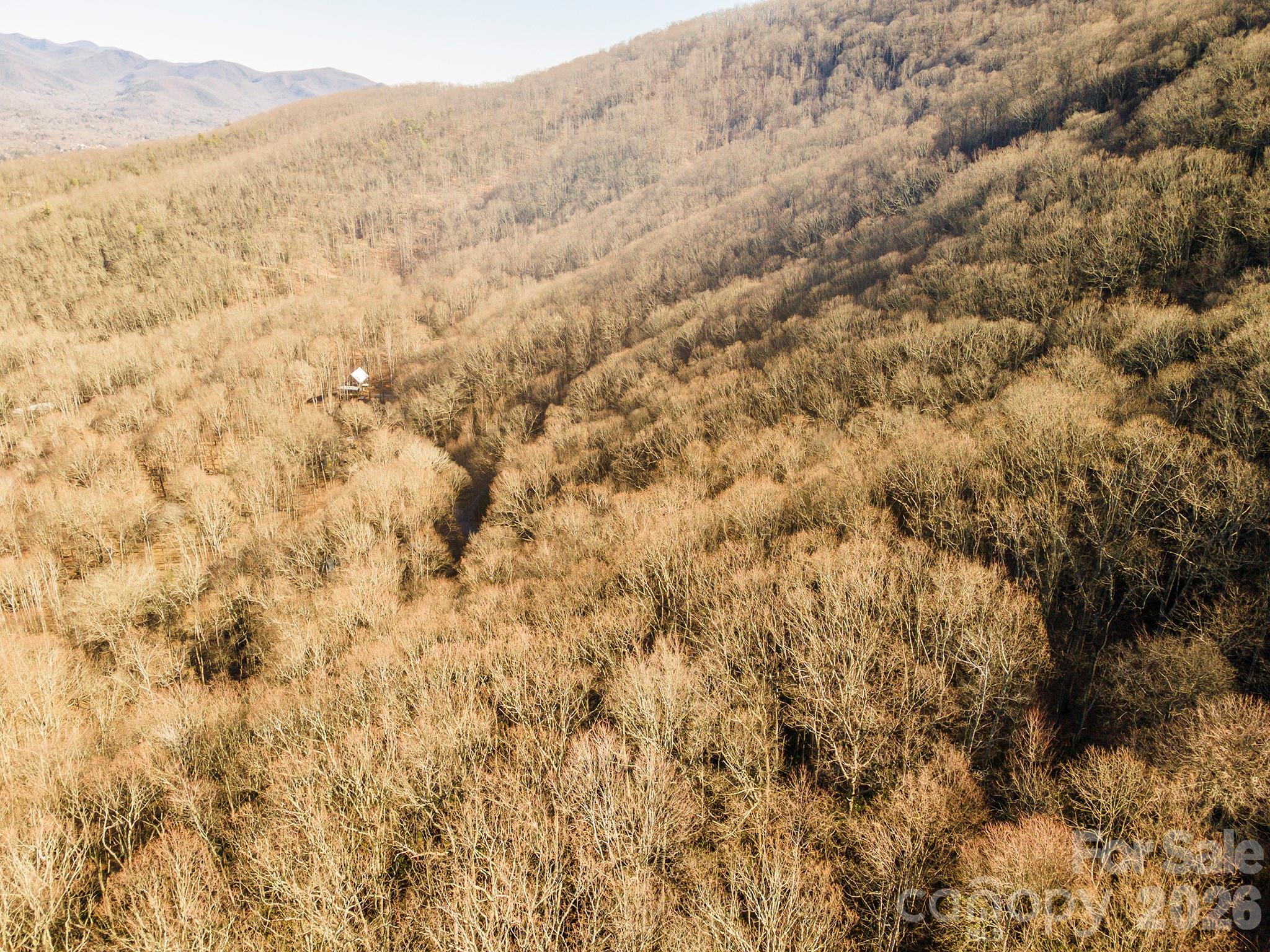 00 Wildflower Cove Road 18