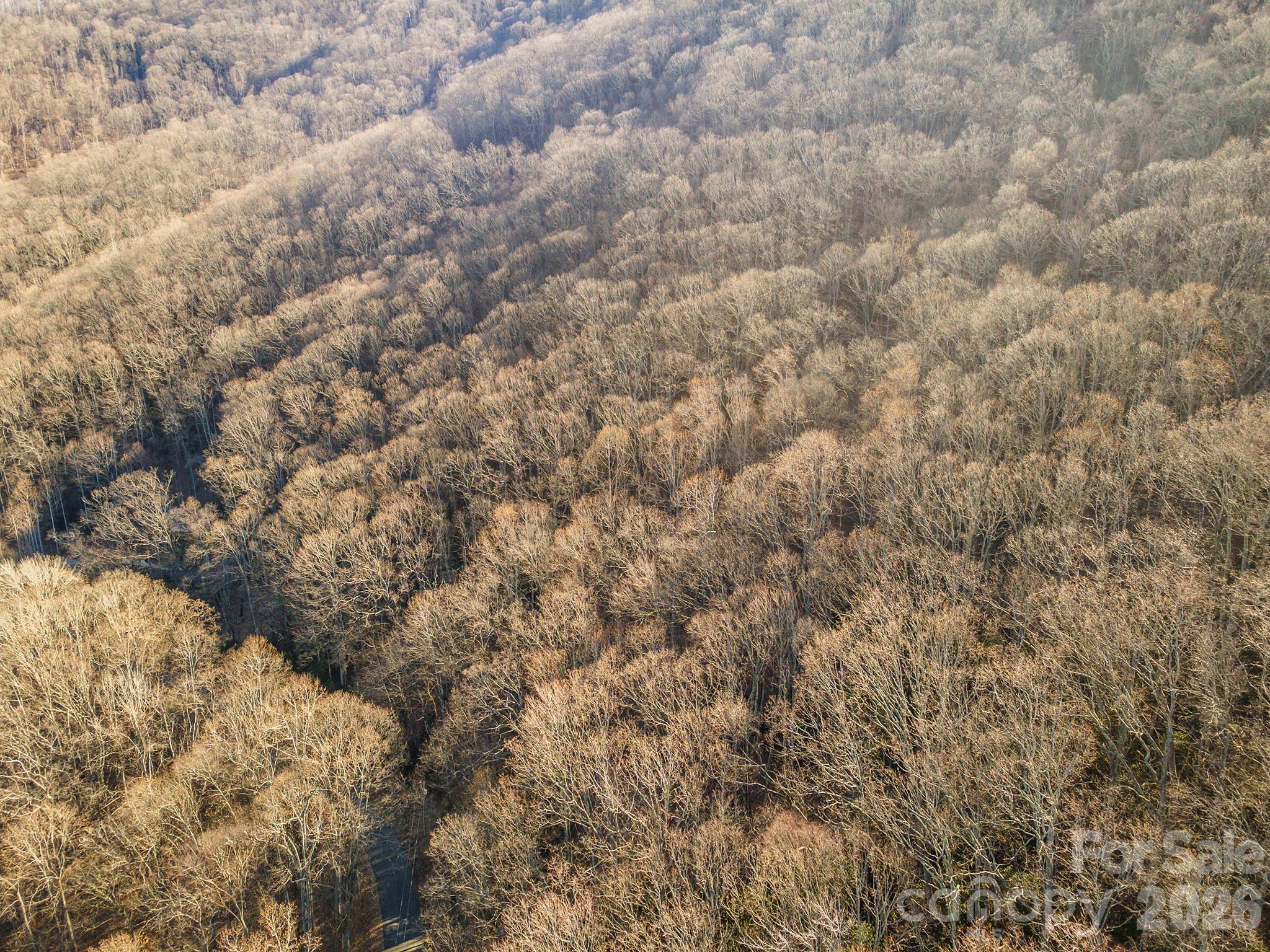 00 Wildflower Cove Road 18