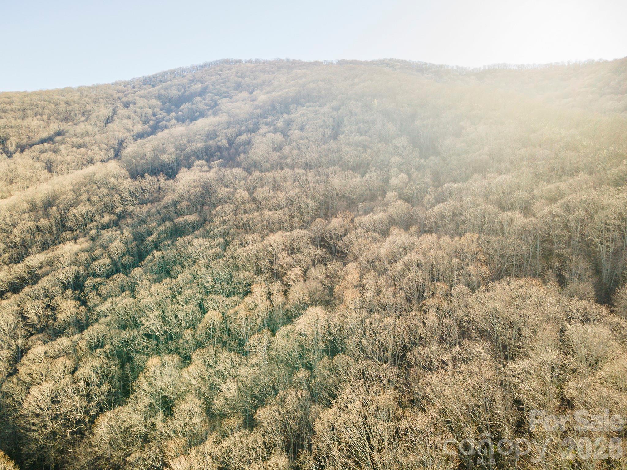 00 Wildflower Cove Road 18