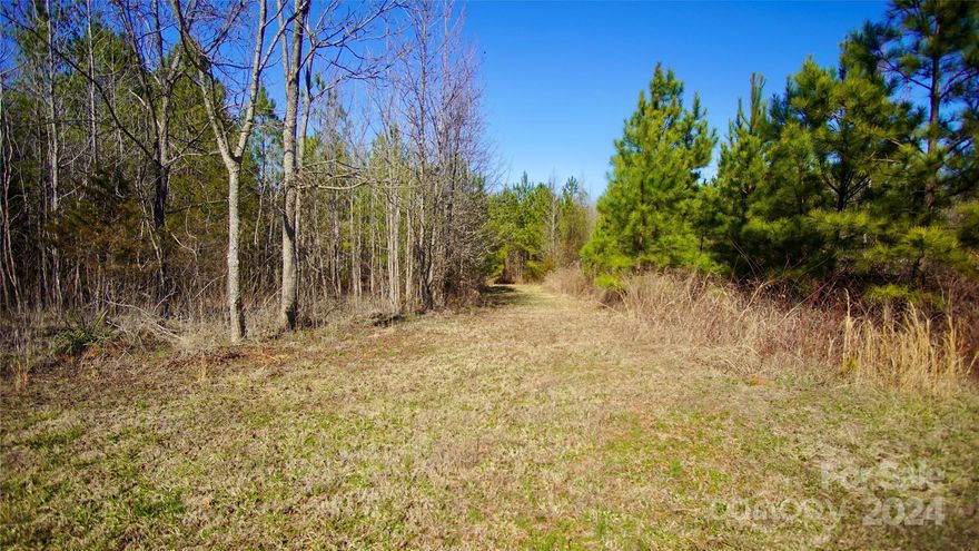 Nestled in the picturesque landscape of the county, this charming property spans approximately acres of natural beauty. The land features a tranquil creek meandering through the property, surrounded by majestic hardwood trees and open areas perfect for exploring or relaxing. Situated in a great location, this property offers a peaceful retreat while still being conveniently located. Additionally, a 1858+/- sq. ft. home is included in the sale, being sold as is, providing a cozy space to call your own in this idyllic setting.