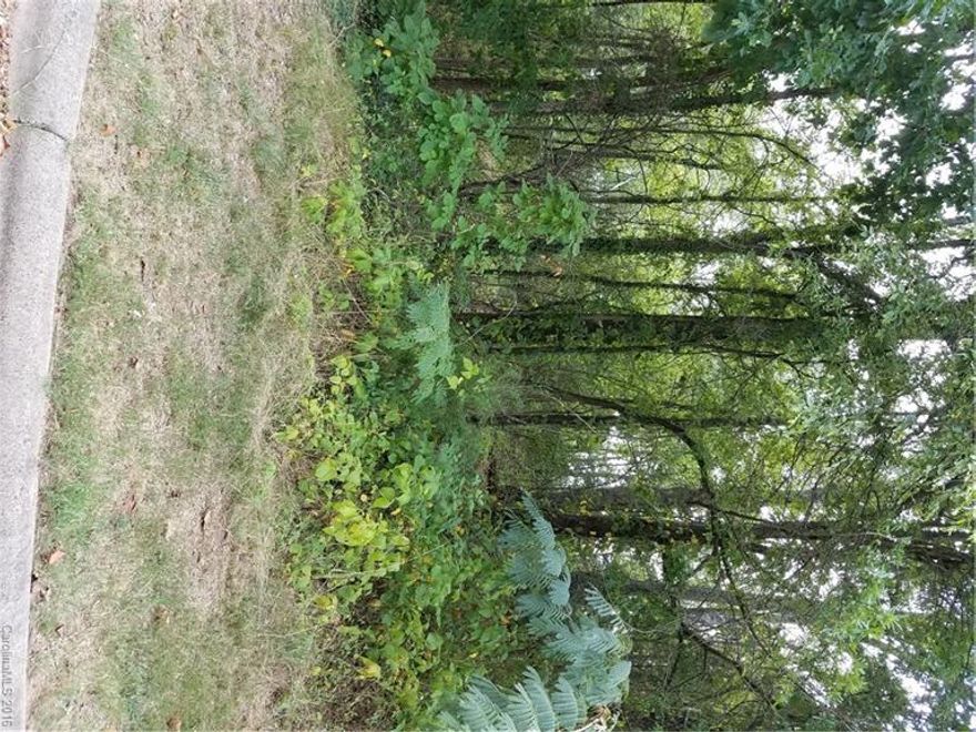 Corner lot on Mcleod and Bryant St. close to Stowe Park, Shopping , Dining and schools. Property is zoned NC-C.
 Buyer to verify zoning, water , sewer and building guidelines.