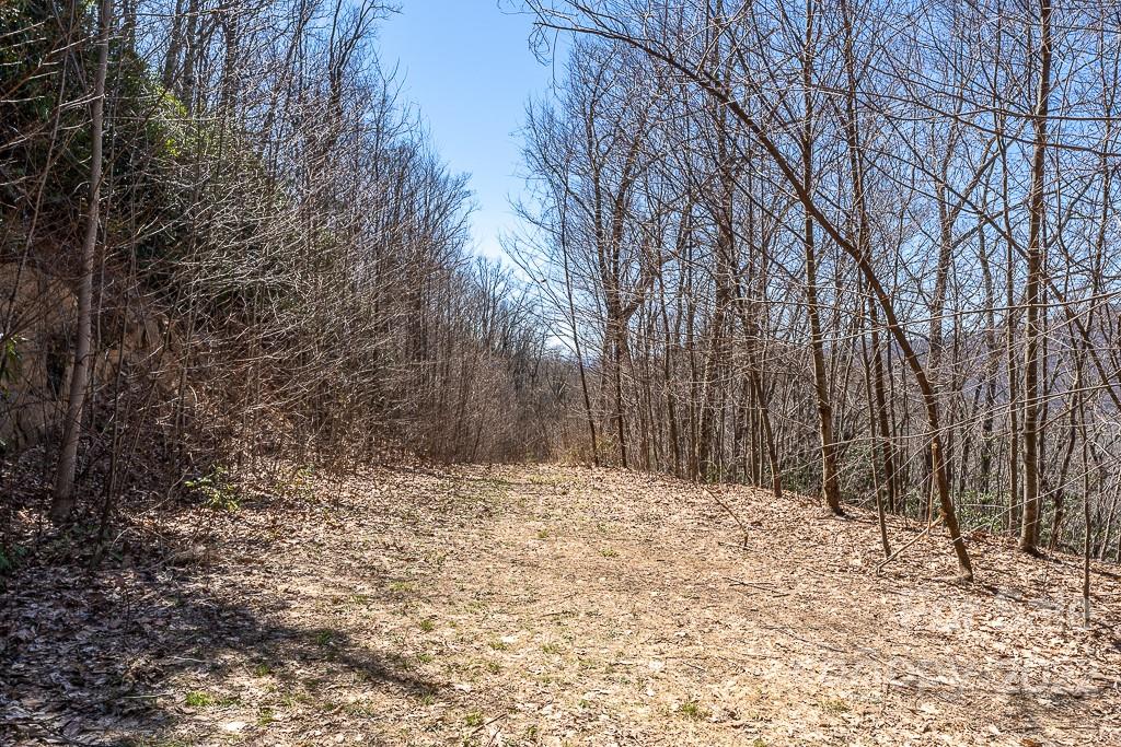 BARTLETT MOUNTAIN VIEWS - Land